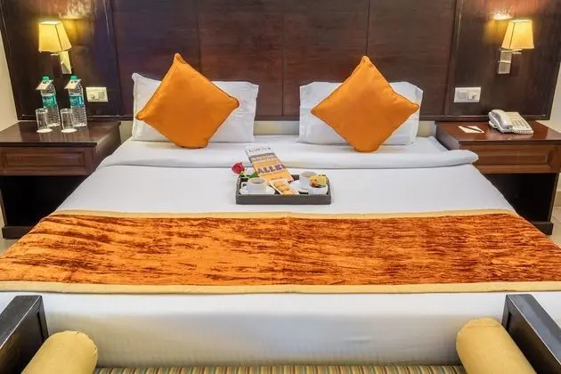 Deluxe One Bedroom Apartment