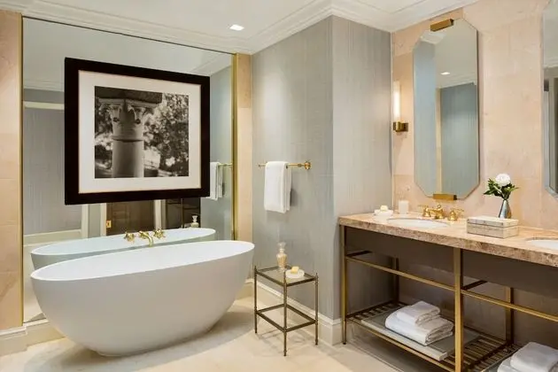 Presidential Çatı Katı Süiti (Penthouse)
