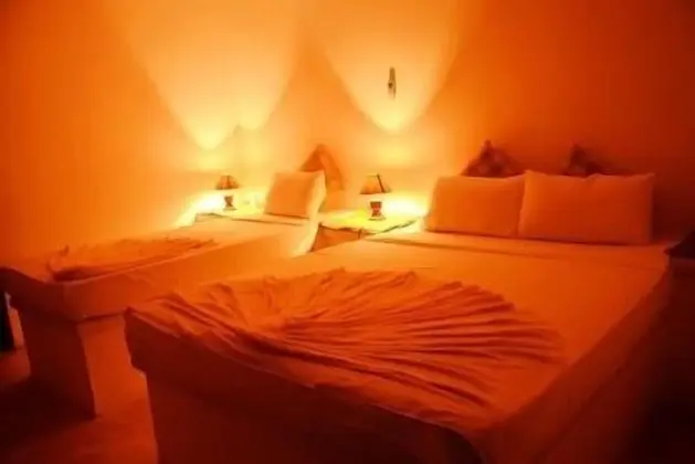 Deluxe Dört Kişilik Oda, 1 Yatak Odası, Havuz Kullanımı, Bahçe Manzaralı