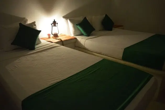 Deluxe Üç Kişilik Oda, 1 Yatak Odası, Bahçe Manzaralı, Bahçeli