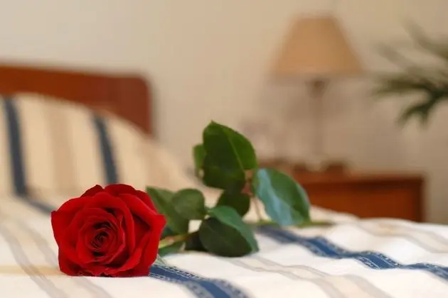 Standard Tek Büyük Yataklı Oda, Balkon, Dağ Manzaralı