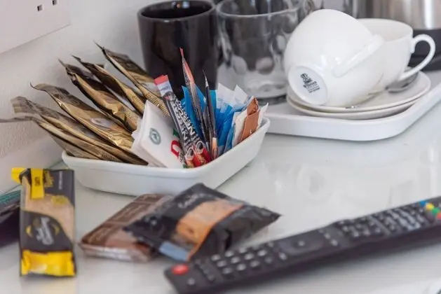 Tek Büyük Yataklı Oda (Standard Suite)