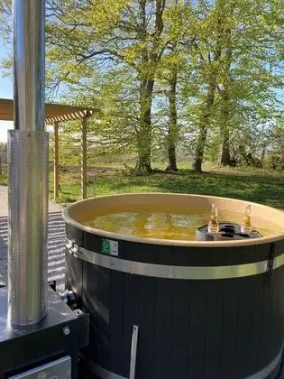 Classic Apart Daire, Birden Çok Yatak, Mutfak