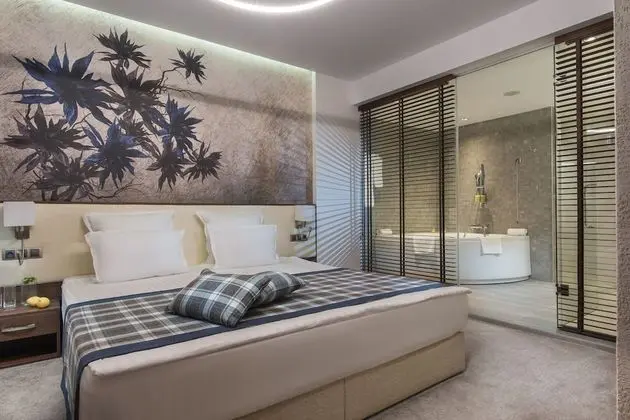 One Bedroom Apartment