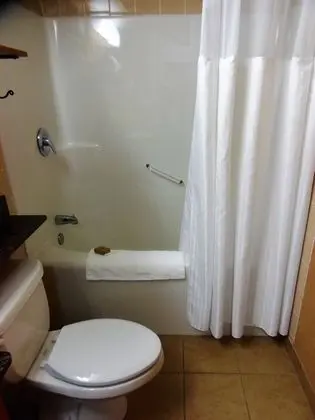 Executive Süit, 1 Yatak Odası
