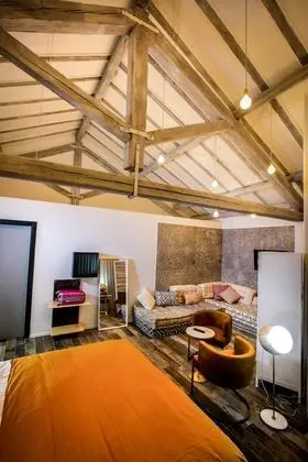 Junior Stüdyo Süit