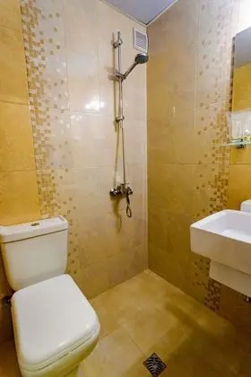 Deluxe Tek Büyük veya İki Ayrı Yataklı Oda