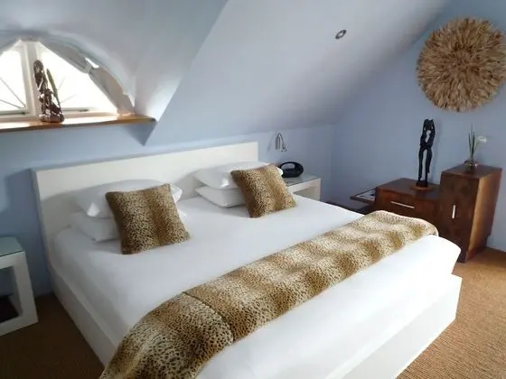 Çatı Katı (Loft)