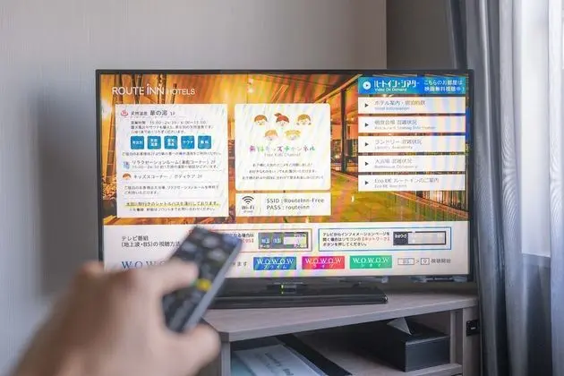 Economy Tek Büyük Yataklı Oda, Sigara İçilmez