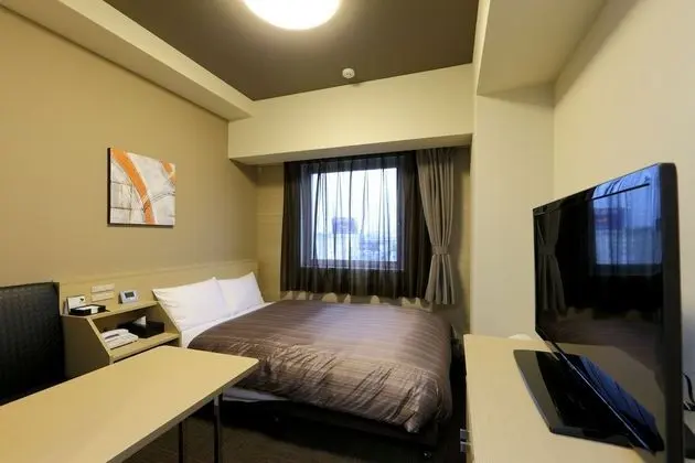 Economy Tek Büyük Yataklı Oda, Sigara İçilebilir