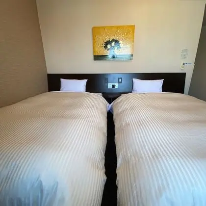 Comfort İki Ayrı Yataklı Oda, 2 Tek Kişilik Yatak, Sigara İçilebilir