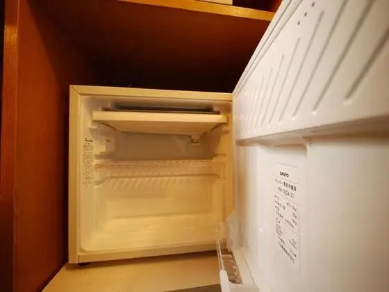 Mini Buzdolabı