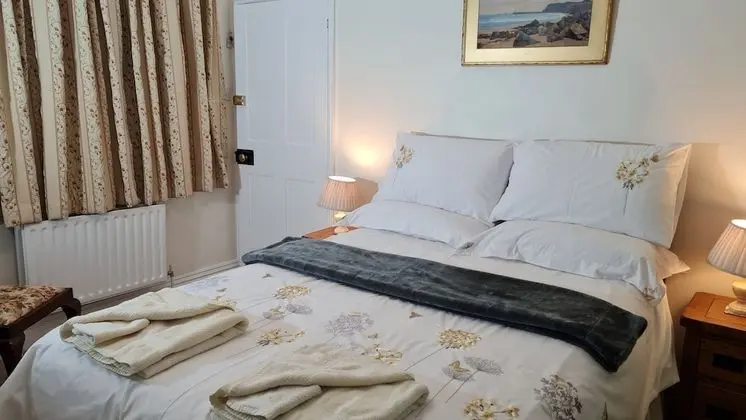Tek Büyük Yataklı Oda, Banyolu/Duşlu (Room 3)