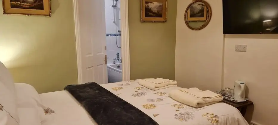 Tek Büyük Yataklı Oda, Banyolu/Duşlu (Room 3)
