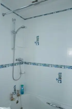 Tek Büyük Yataklı Oda, Banyolu/Duşlu (Room 3)