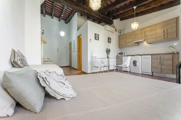 Çatı Katı (Loft)