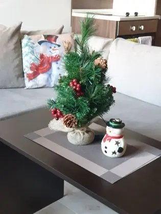 Apart Daire, Birden Çok Yatak