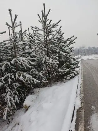 Apart Daire, Birden Çok Yatak