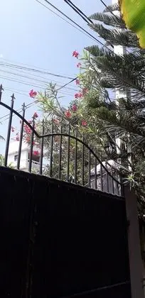 Basic Villa, 1 En Büyük (King) Boy Yatak, Sigara İçilmez, Plaj Manzaralı