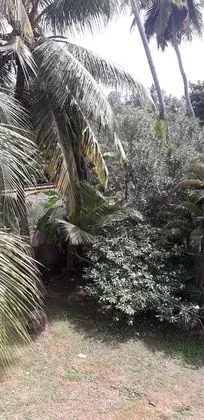 Basic Villa, 1 En Büyük (King) Boy Yatak, Sigara İçilmez, Plaj Manzaralı