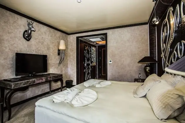 Tek Büyük Yataklı Oda, Balkon, Park Manzaralı