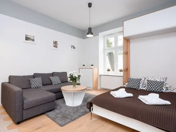 Traditional Stüdyo Süit, 1 Çift Kişilik Yatak ve Çekyat, Sigara İçilmez