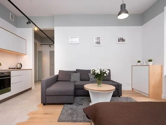 Traditional Stüdyo Süit, 1 Çift Kişilik Yatak ve Çekyat, Sigara İçilmez