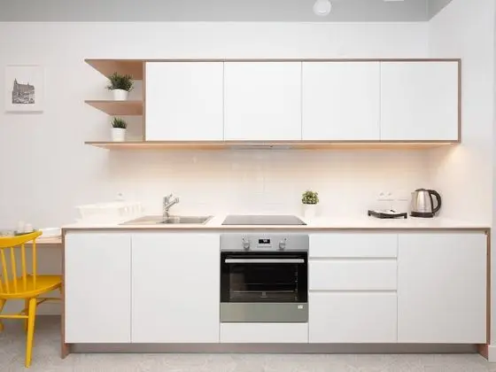 Traditional Stüdyo Süit, 1 Çift Kişilik Yatak ve Çekyat, Sigara İçilmez