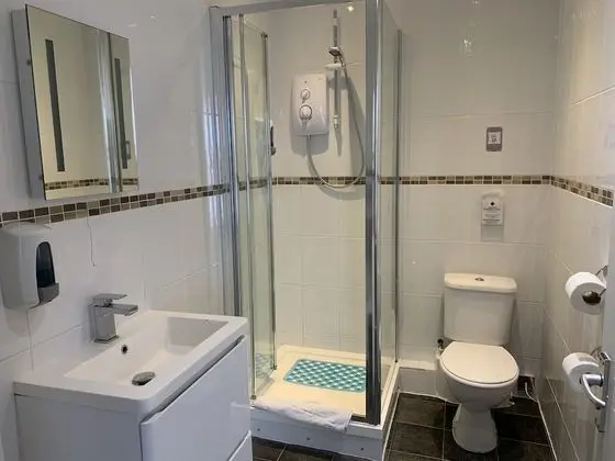 Tek Büyük Yataklı Oda, 1 Çift Kişilik Yatak, Sigara İçilmez, Banyolu/Duşlu