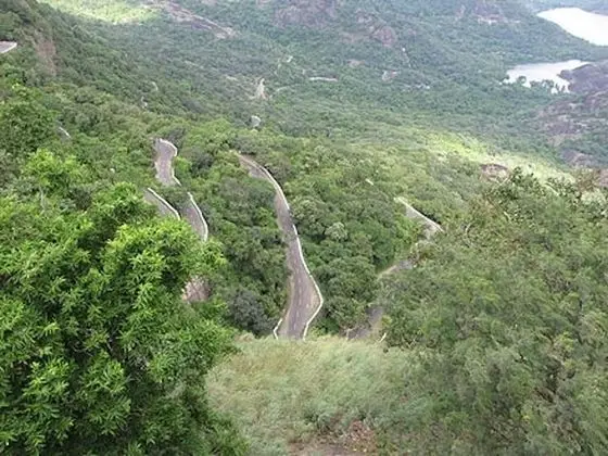 Oda, 1 Yatak Odası, Balkon