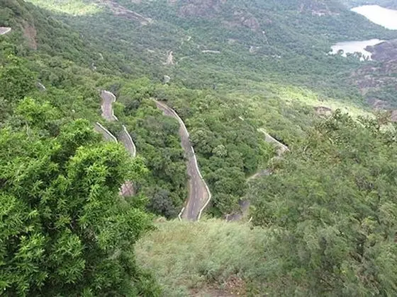 Oda, 1 Yatak Odası, Balkon