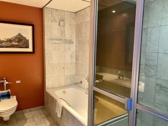 Deluxe İki Ayrı Yataklı Oda, 2 Tek Kişilik Yatak, Sigara İçilmez, Şehir Manzaralı