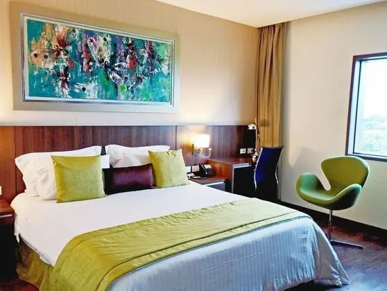 Superior Tek Büyük Yataklı Oda