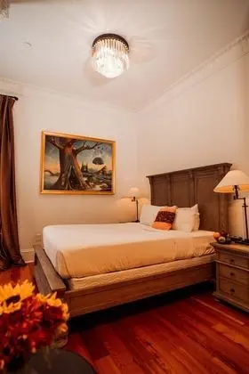 Deluxe Oda, 1 Büyük (Queen) Boy Yatak, Sigara İçilmez (Dauphine)