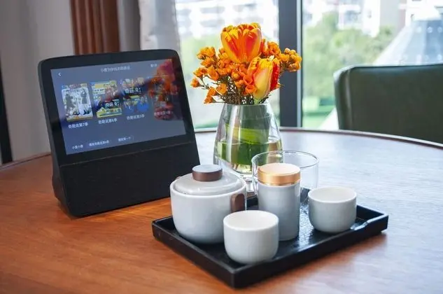 Business Büyük Yataklı Tek Kişilik Oda
