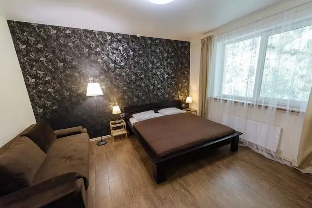 Deluxe Tek Büyük Yataklı Oda, 1 Büyük (Queen) Boy Yatak ve Çekyat