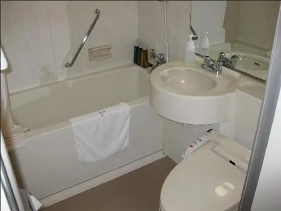 Tek Büyük Yataklı Oda, Sigara İçilebilir (Single Use)