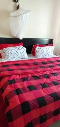 Comfort Tek Büyük Yataklı Oda, 1 En Büyük (King) Boy Yatak, Sigara İçilmez, Avlu Manzaralı