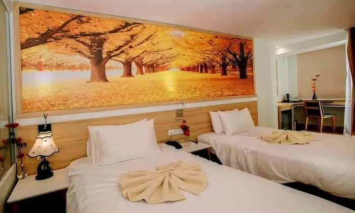 Deluxe İki Ayrı Yataklı Oda, Şehir Manzaralı