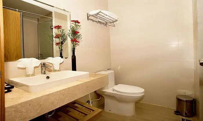 Deluxe İki Ayrı Yataklı Oda, Şehir Manzaralı
