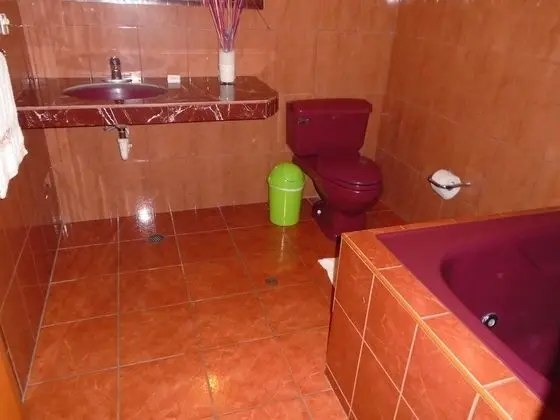 Tek Büyük Yataklı Oda, 1 Yatak Odası