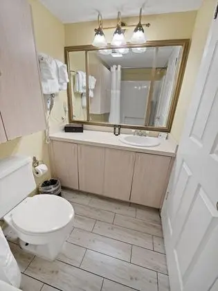Deluxe Stüdyo, 1 En Büyük (King) Boy Yatak, Küçük Mutfak