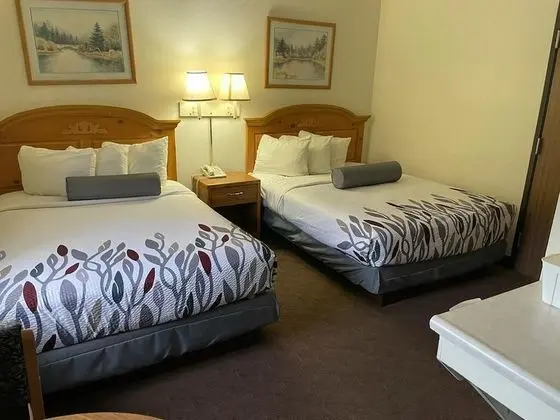 Deluxe Oda, 2 Çift Kişilik Yatak, Sigara İçilmez