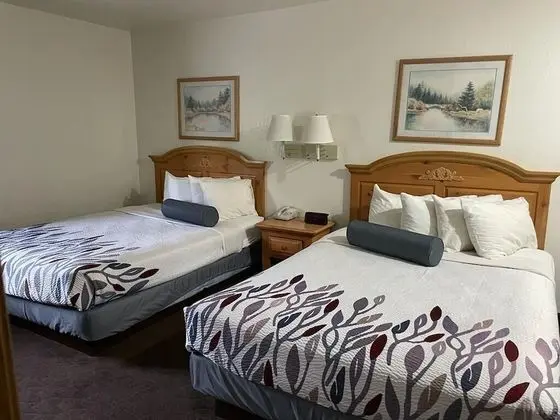 Deluxe Oda, 2 Çift Kişilik Yatak, Sigara İçilmez