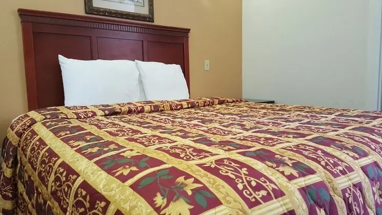 Deluxe Oda, 1 En Büyük (King) Boy Yatak