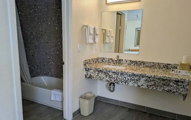 Suite with 1 King bed - Non Smoking