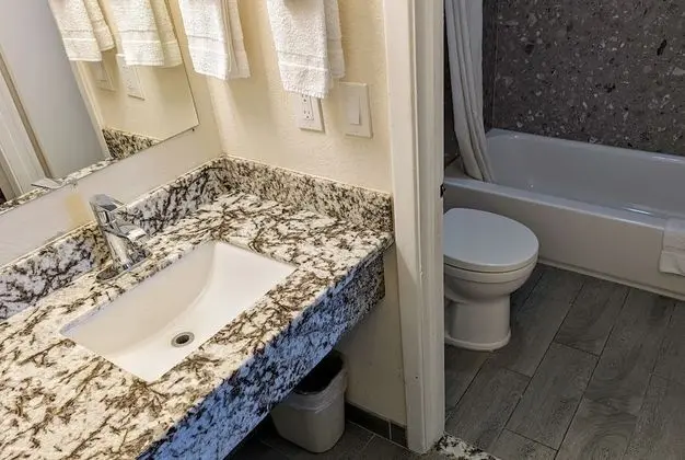 Suite with 1 King bed - Non Smoking