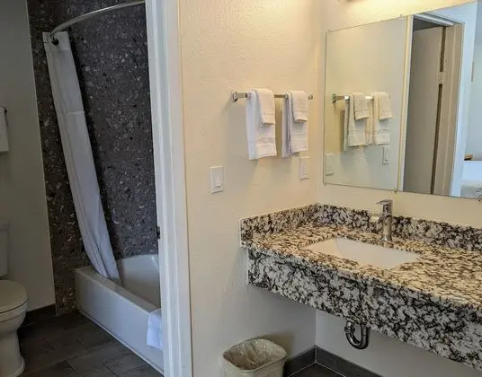 Suite with 1 King bed - Non Smoking