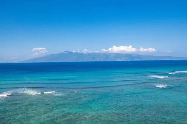 Daire, 2 Yatak Odası