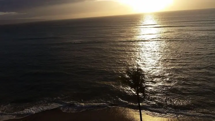Panoramic Daire, 1 Yatak Odası, Havuz Manzaralı, Okyanusa Sıfır (Unit 512)